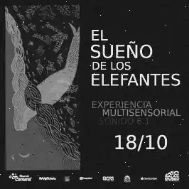 El Sueño de los Elefantes
